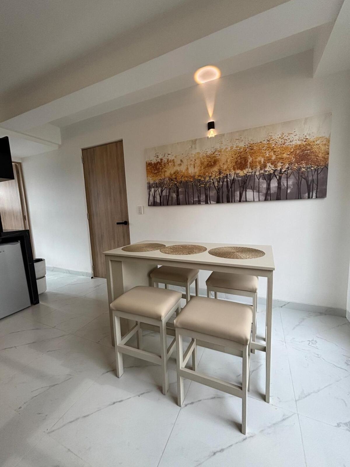 Centrico Departamento Enla Roma Apartment *