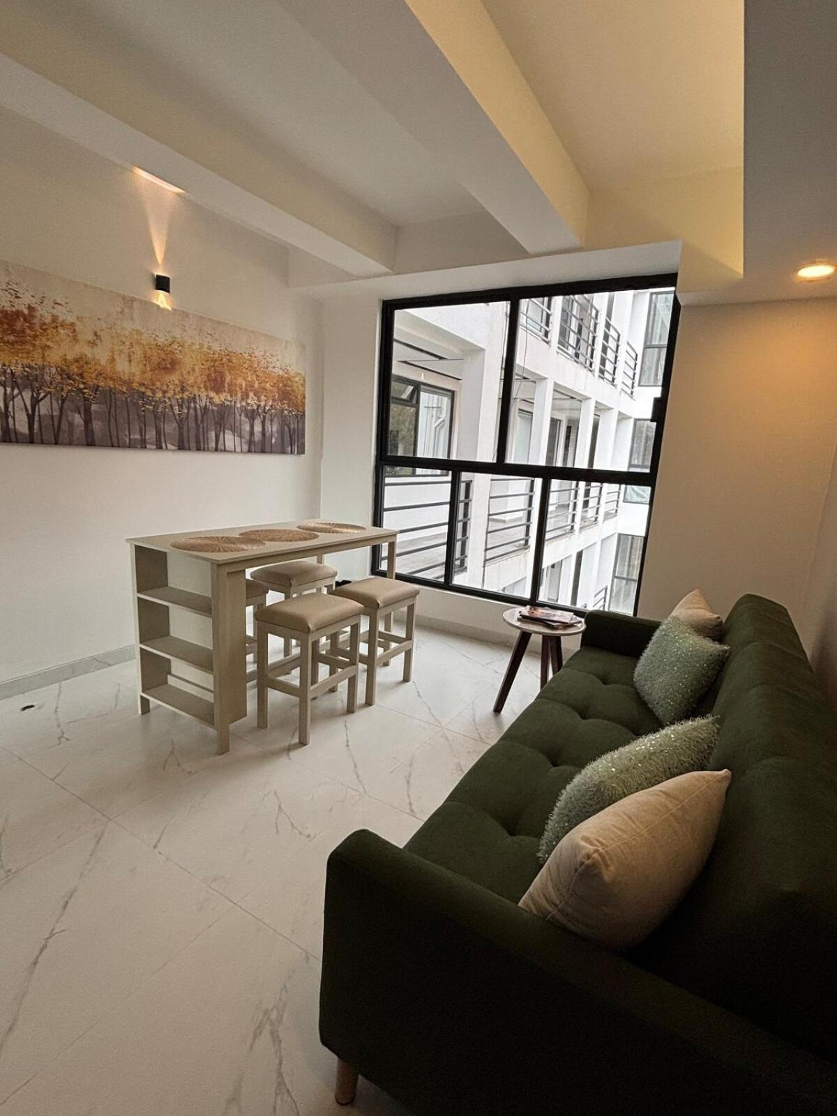Centrico Departamento Enla Roma Apartment